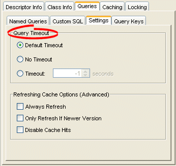 Descriptor Queries Settings Tab, Query Timeout Options