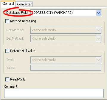 Direct Mapping General Tab, Database Field Option