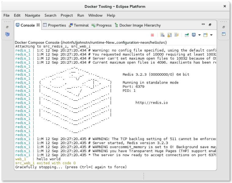 File:LinuxToolsDockerComposeConsole.png