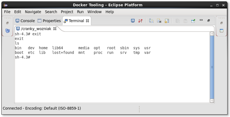 File:LinuxToolsDockerTerminal.png