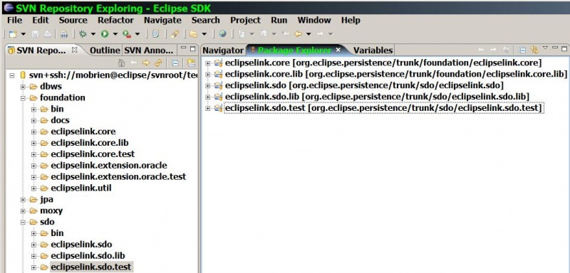 Eclipselink sdo java projects workspace ide cap.jpg
