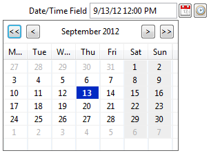 Scout 3.8 DateTimeField SWT.png