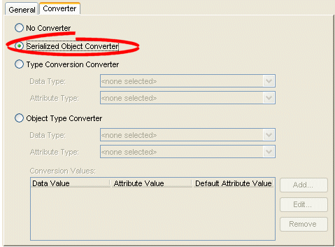 Converter Tab, Serialized Object Converter Option