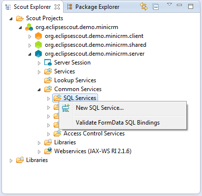 Scout.3.9.minicrm.new sql service.explorer.png