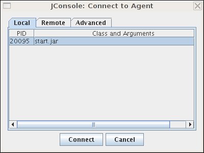 New connection dialog box in JConsole