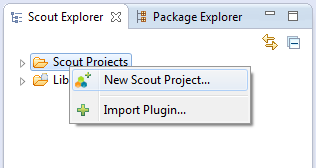 Choose new Scout Project