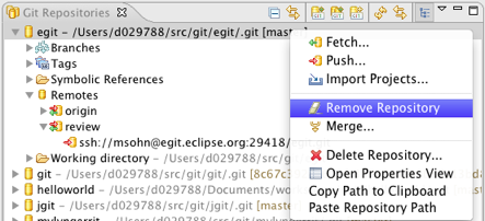 Egit-0.10-RemoveRepository.png