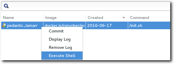 Docker-exec-shell.png