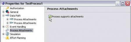 Stardust Process Instance Enable Process Attach
