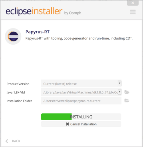 Papyrus-RT Installer installing.png