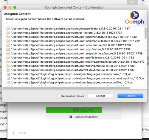 Papyrus-RT Installer Accept unsigned content.png